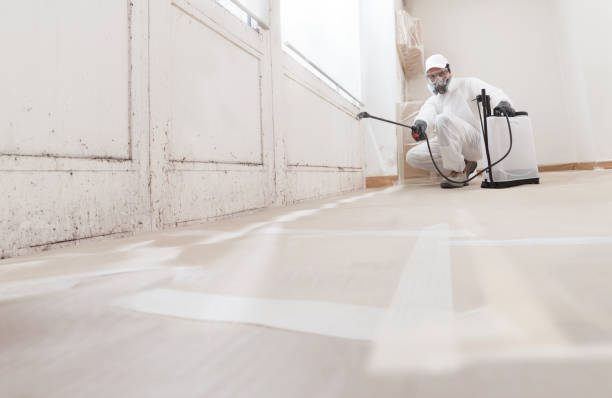 24/7 Emergency Mold Remediation experts in Bridgeport, WA