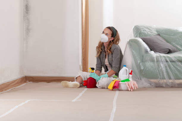 Reliable Mold Remediation contractor in Bridgeport, WA by 24 Hour Mold Removal